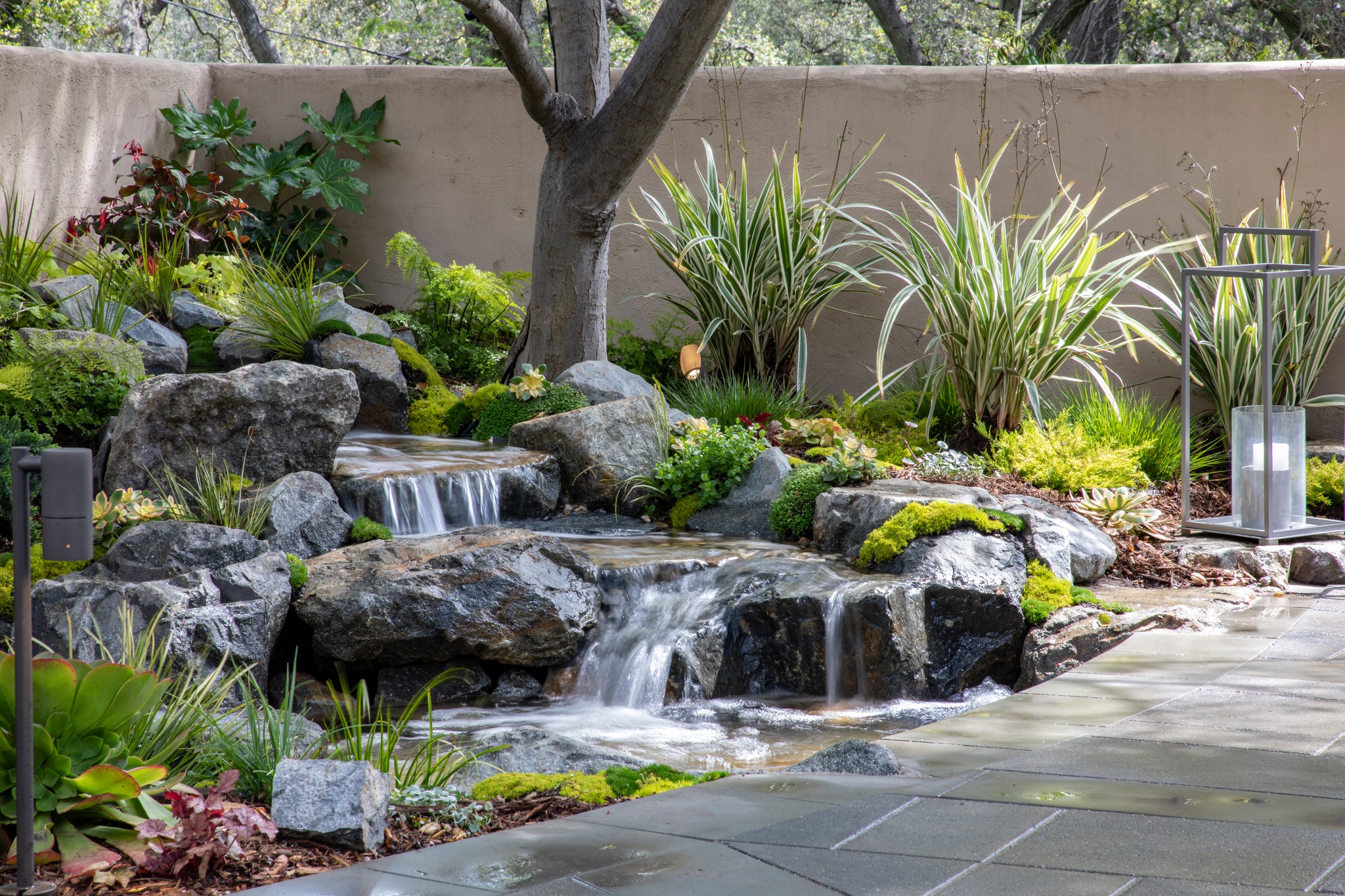 Koi pond with waterfall and water feature in garden